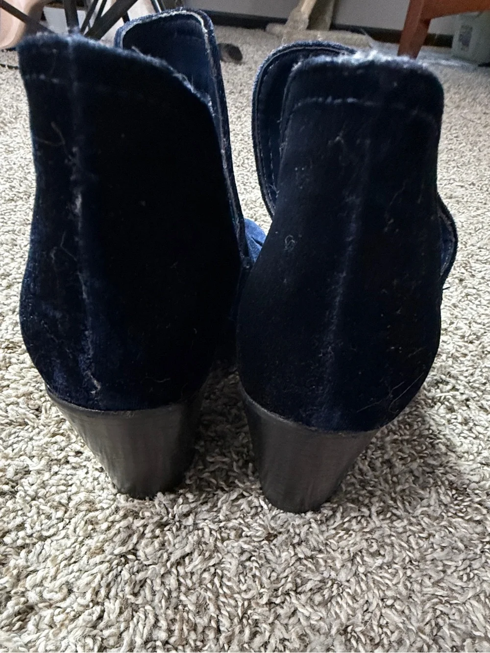 Steve Madden Velvet Midnight Blue Ankle Booties for Women